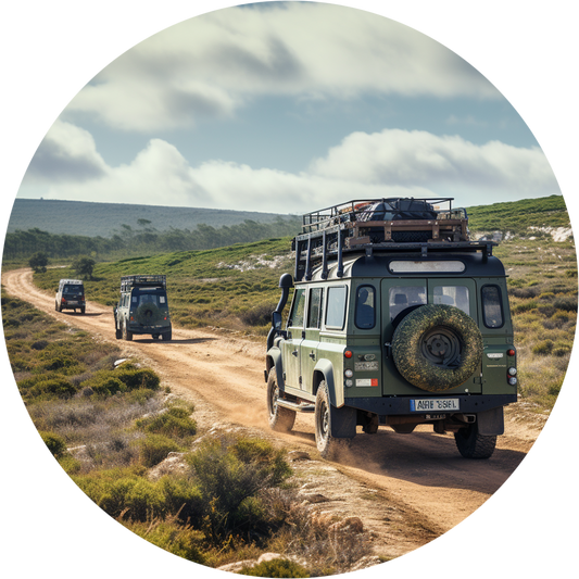 Safari Experience - Wildlife Exploration - All wheel drive Tour