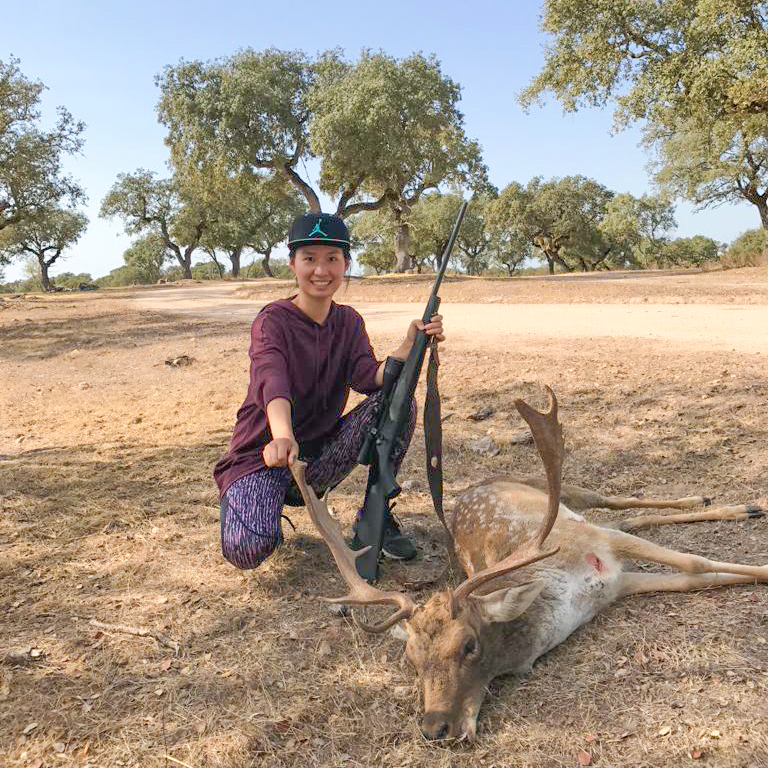 Fallow Deer Hunting