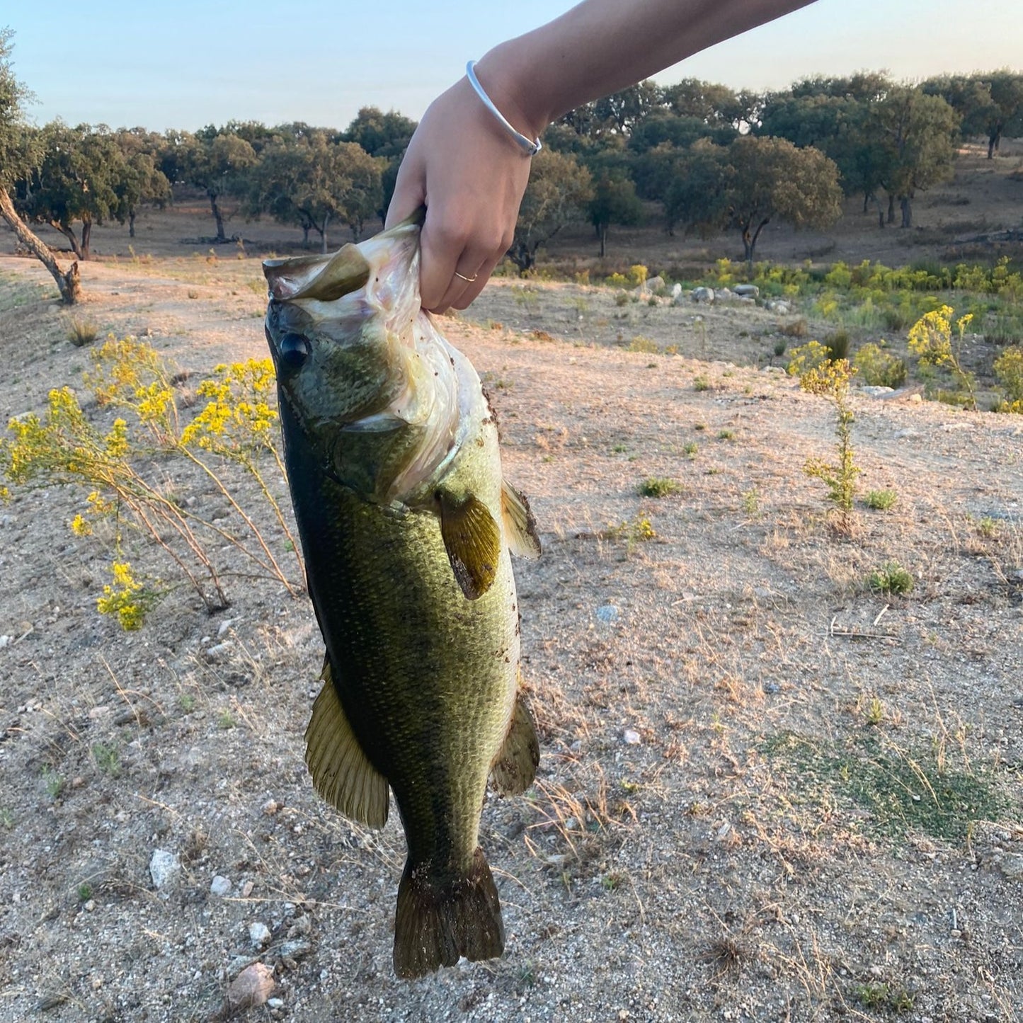 Fishing  Experience