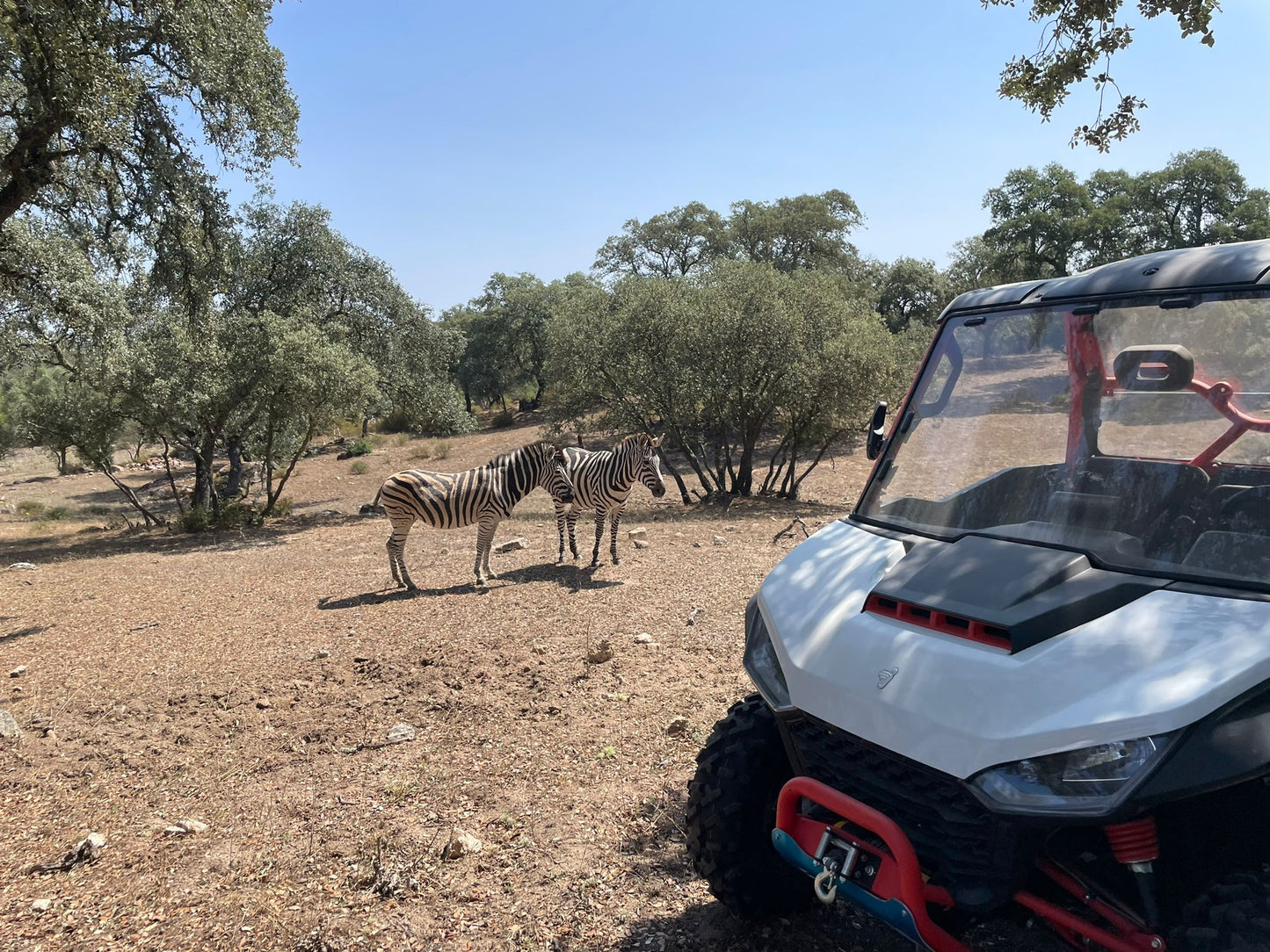 Safari Experience - Wildlife Exploration - ATV Tour